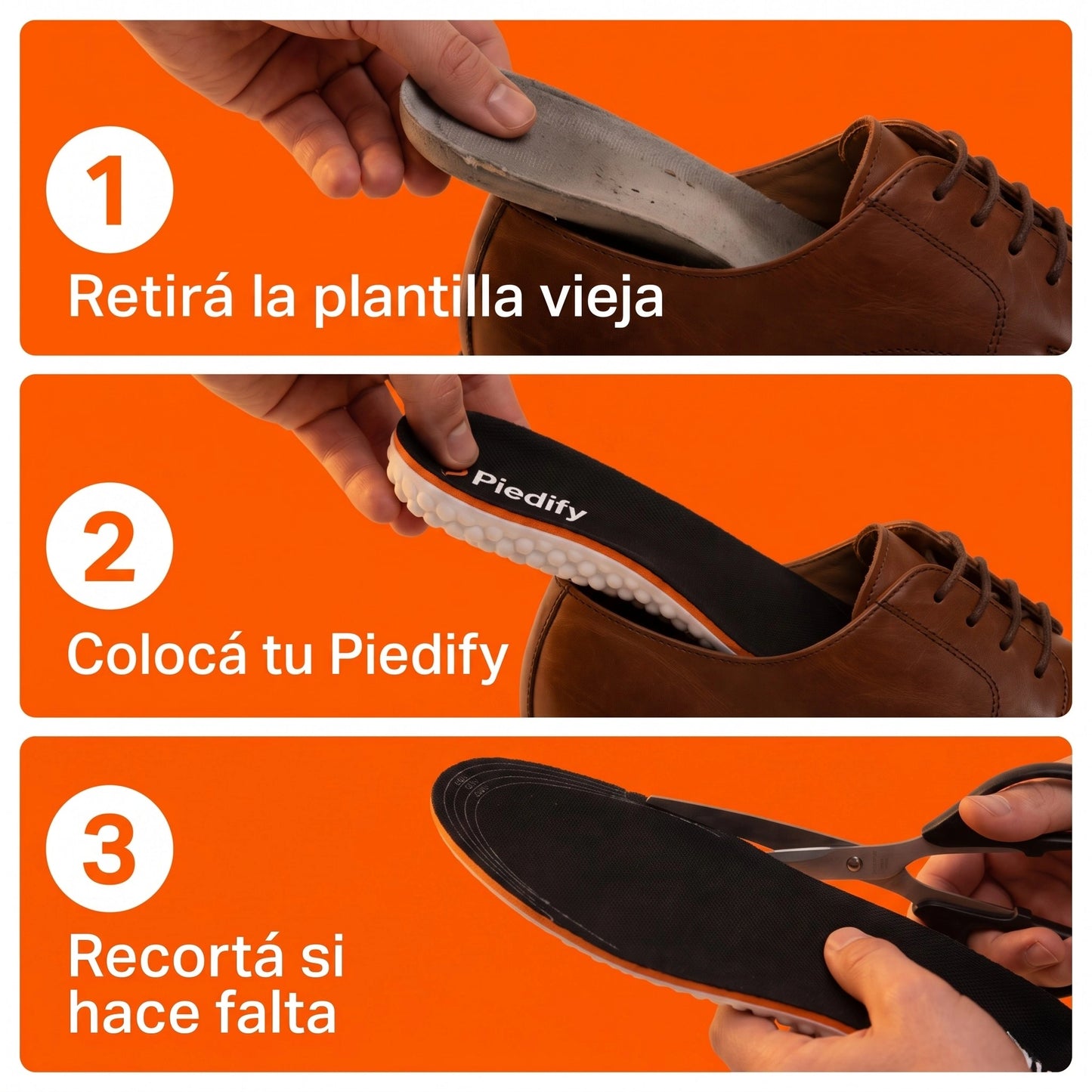 Plantillas Piedify Active